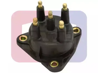 angli-2264p