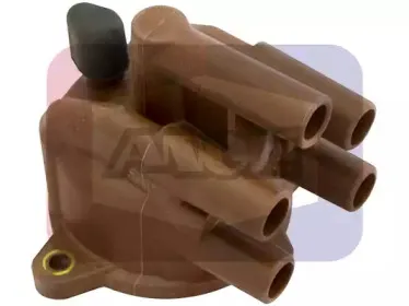 angli-2304