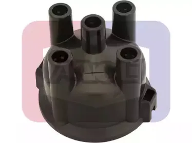 angli-2309