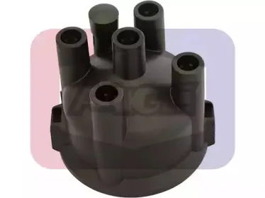 angli-2310
