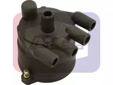 angli-2312