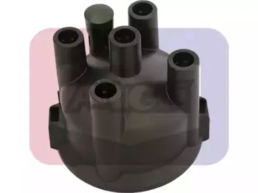 angli-2319