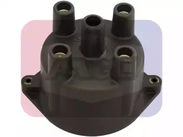 angli-2326