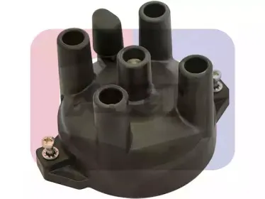 angli-2329