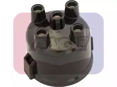 angli-2401