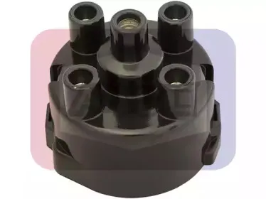 angli-2405