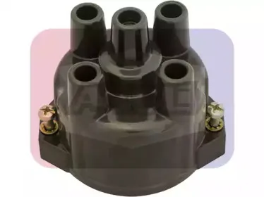 angli-2407