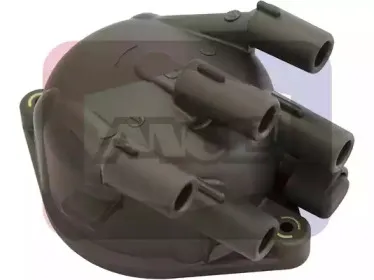 angli-2417