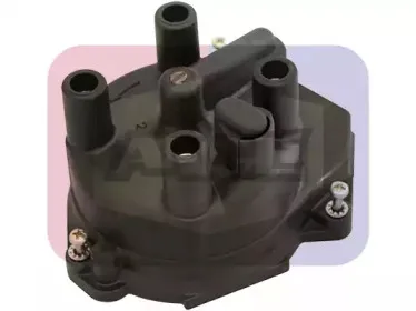 angli-2423