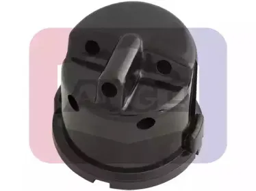 angli-2433