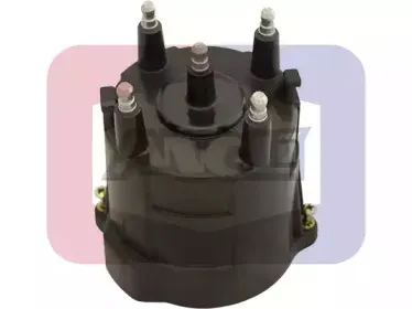 angli-2452p