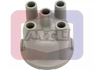 angli-2502