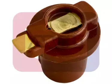angli-3043