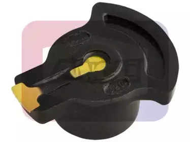angli-3204