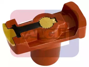 angli-3219a