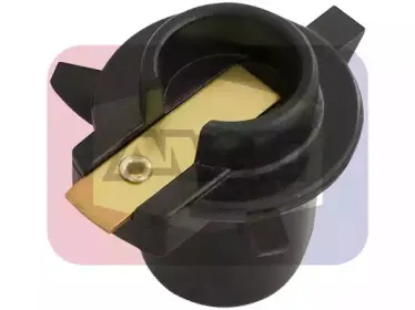 angli-3253