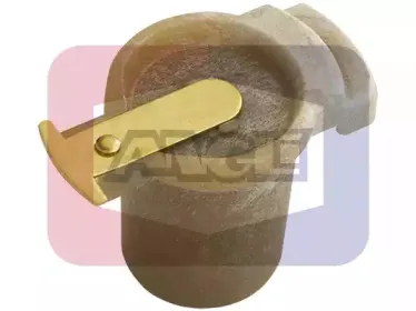 angli-3255