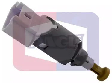 angli-40042