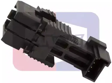 angli-40059