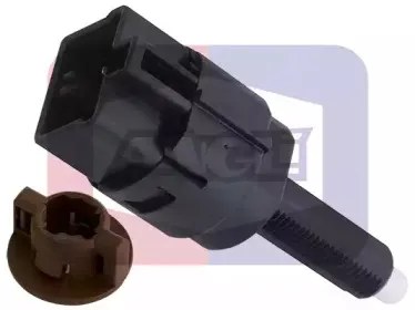 angli-40071