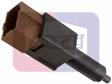 angli-40091