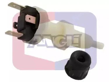 angli-451
