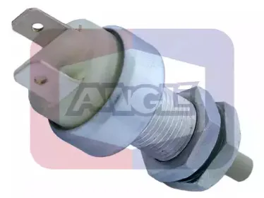 angli-463