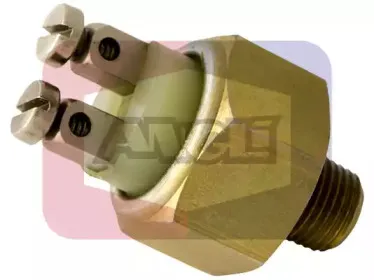 angli-486