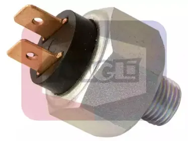 angli-487