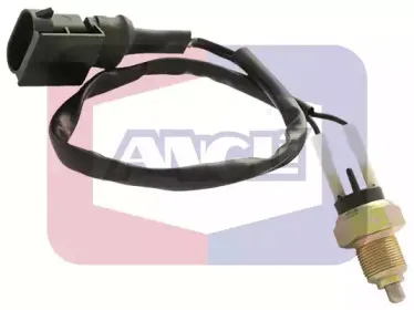 angli-906