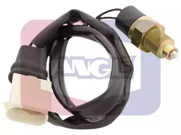 angli-9202