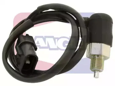 angli-9212