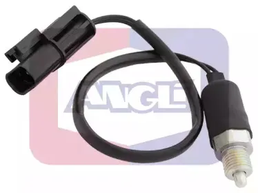 angli-9219