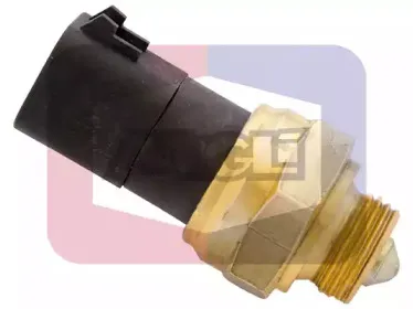 angli-9228