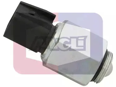 angli-9233