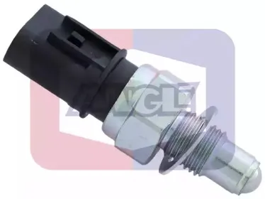 angli-9239