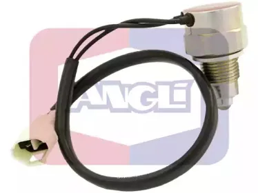 angli-9248