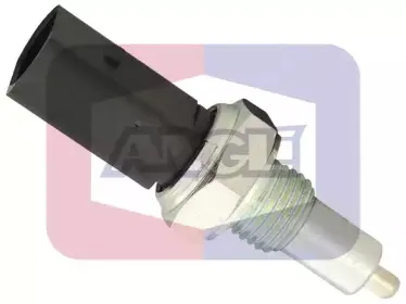 angli-9253