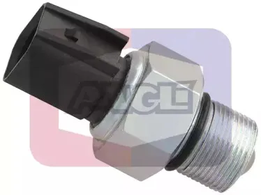 angli-9258