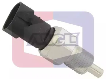angli-9262