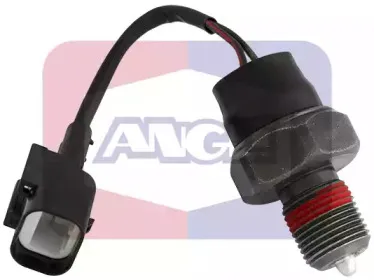 angli-9277