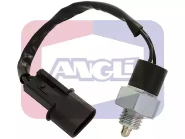 angli-9278