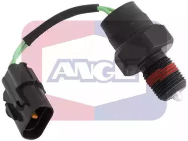 angli-9281