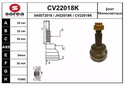 eai-cv22018k