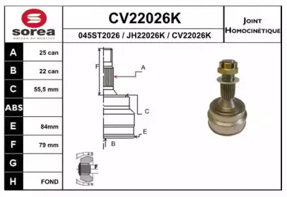 eai-cv22026k