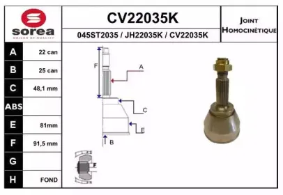 eai-cv22035k