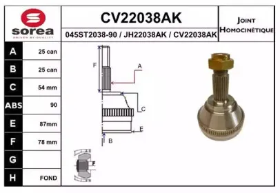eai-cv22038ak