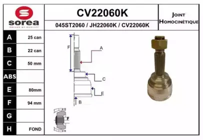 eai-cv22060k