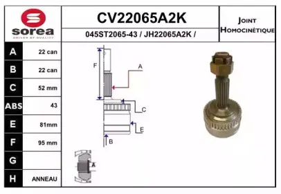 eai-cv22065a2k