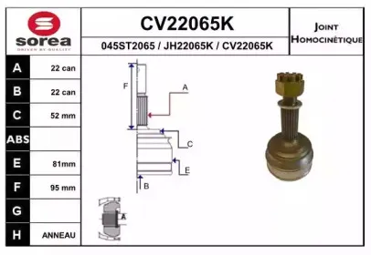 eai-cv22065k